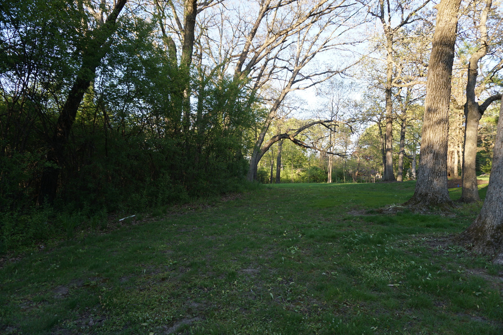 120 N Rainbow Road Property Photo 7