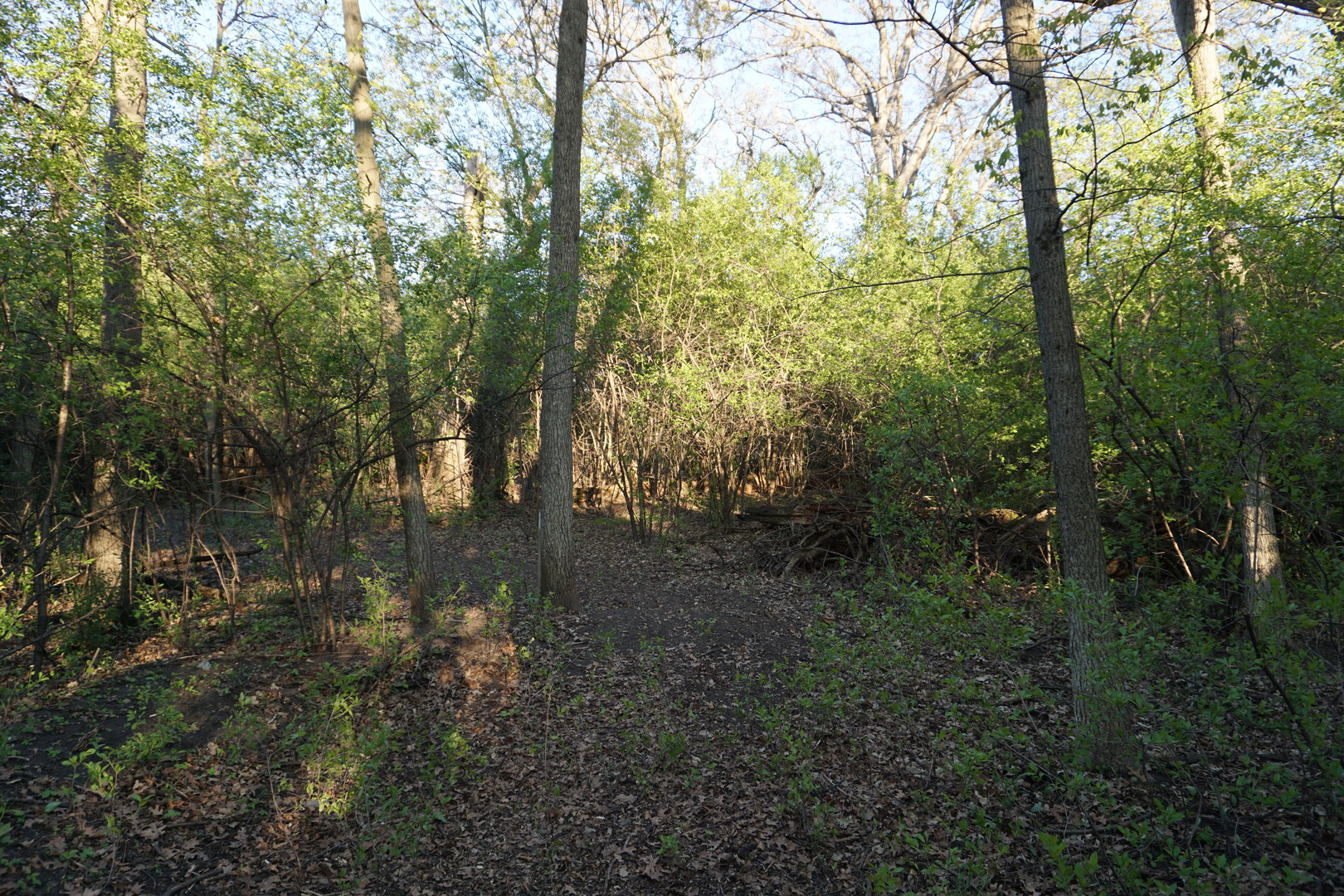 120 N Rainbow Road Property Photo 8