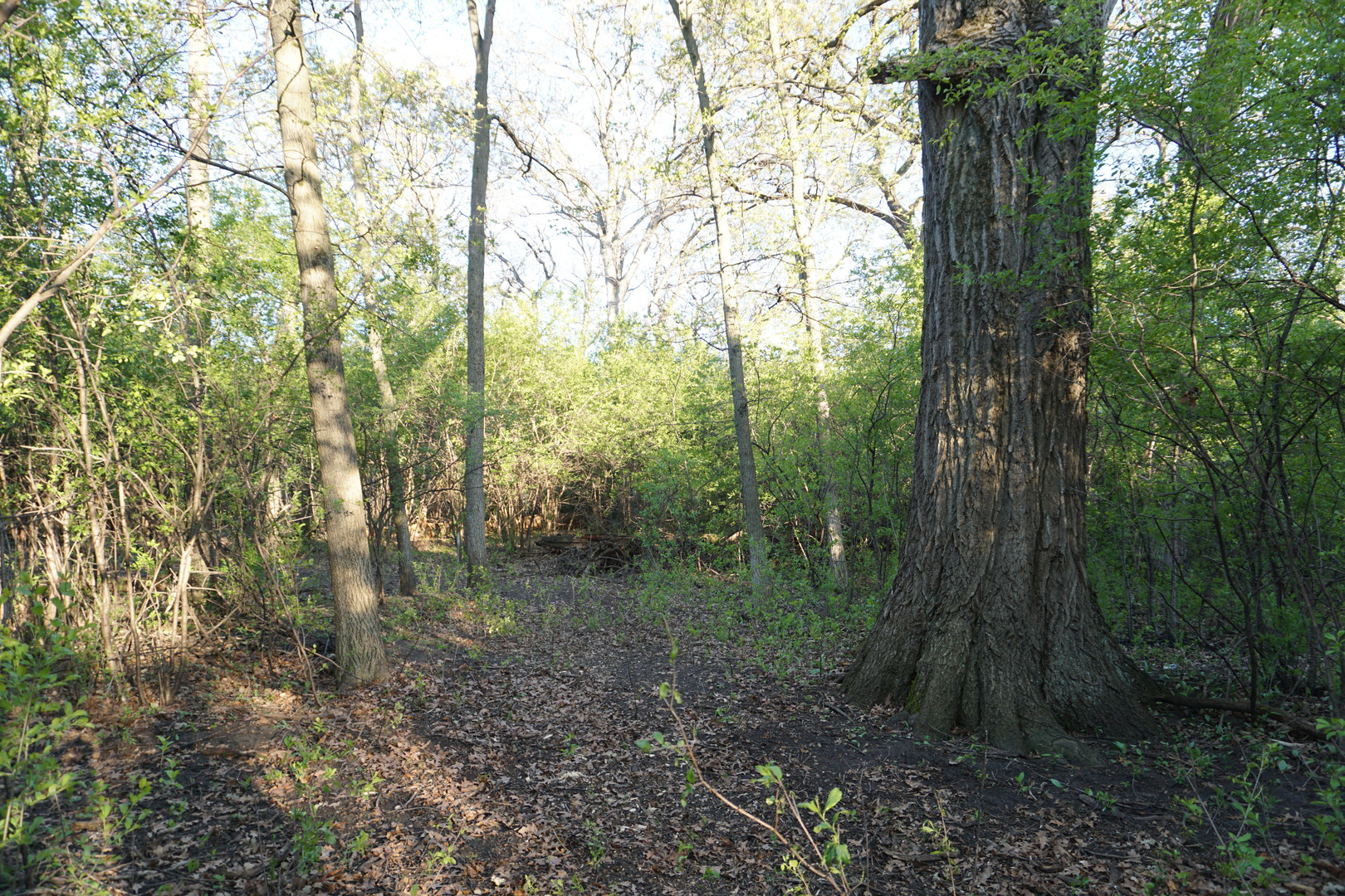 120 N Rainbow Road Property Photo 9