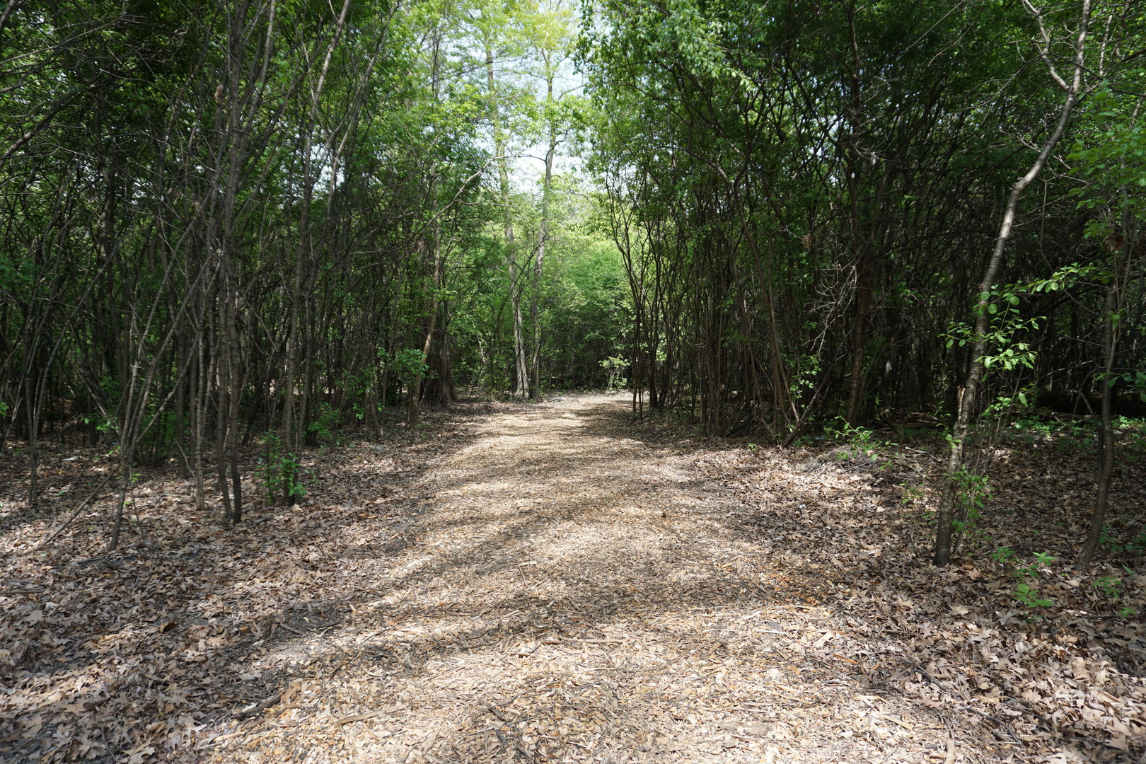 120 N Rainbow Road Property Photo 10