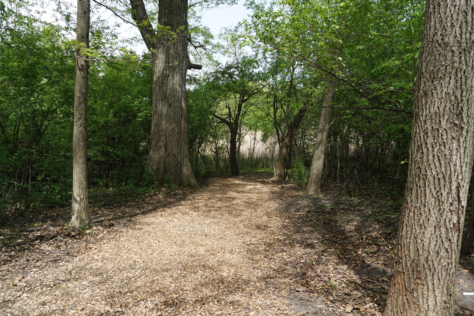 120 N Rainbow Road Property Photo 11