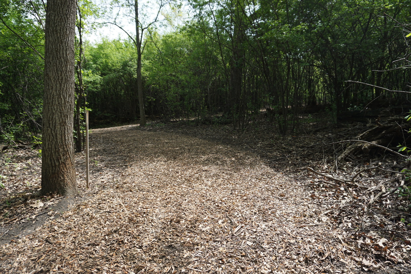 120 N Rainbow Road Property Photo 12