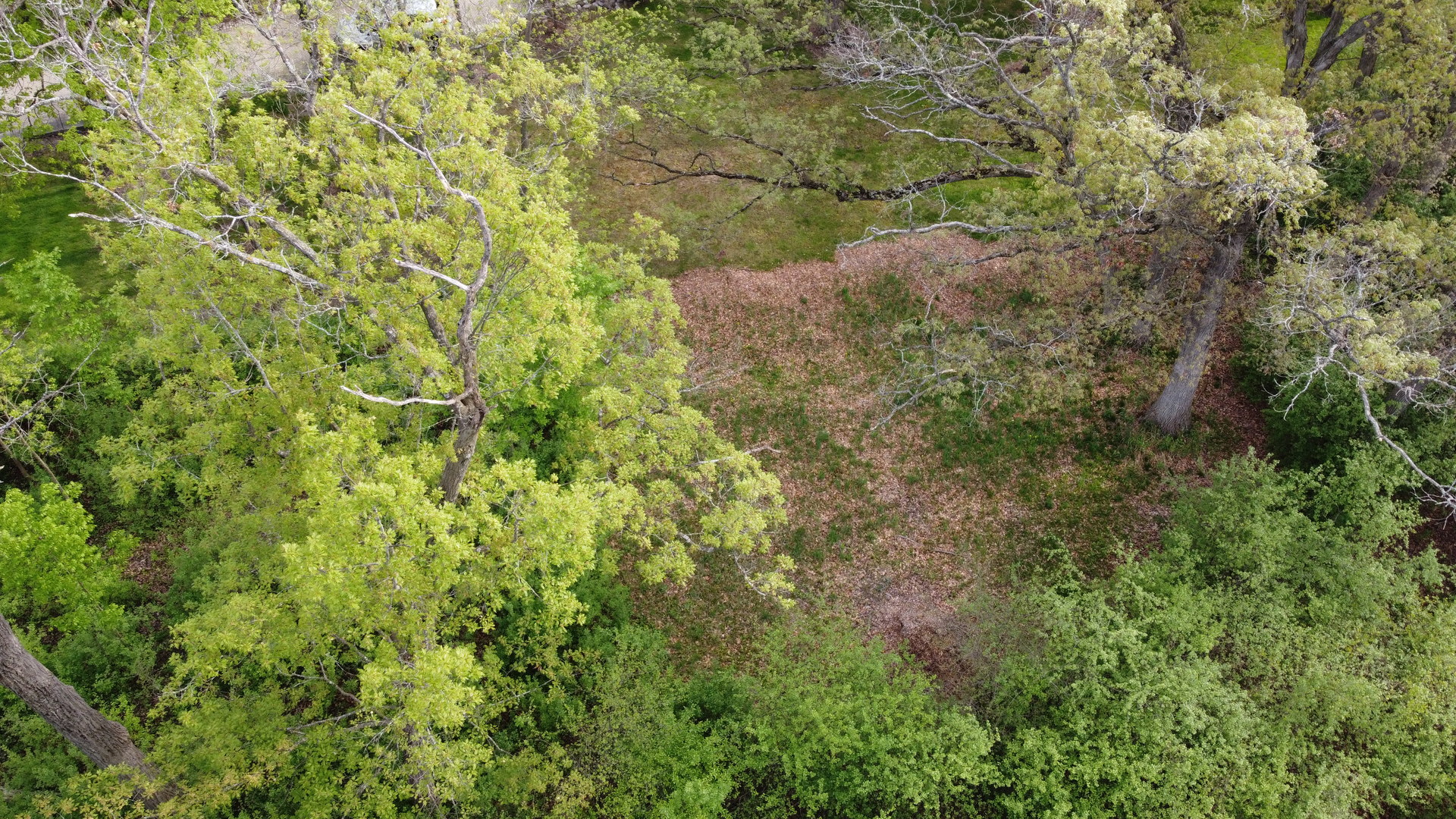 120 N Rainbow Road Property Photo 13