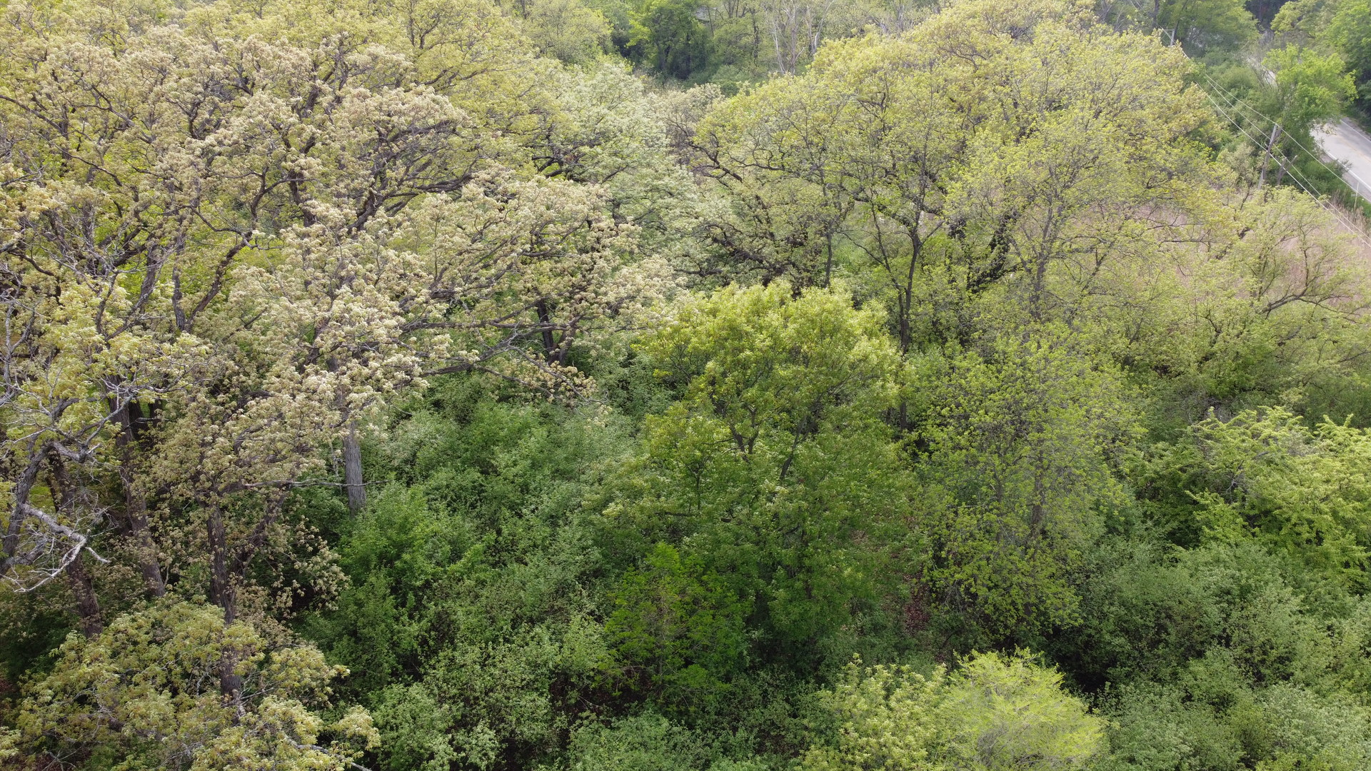 120 N Rainbow Road Property Photo 14