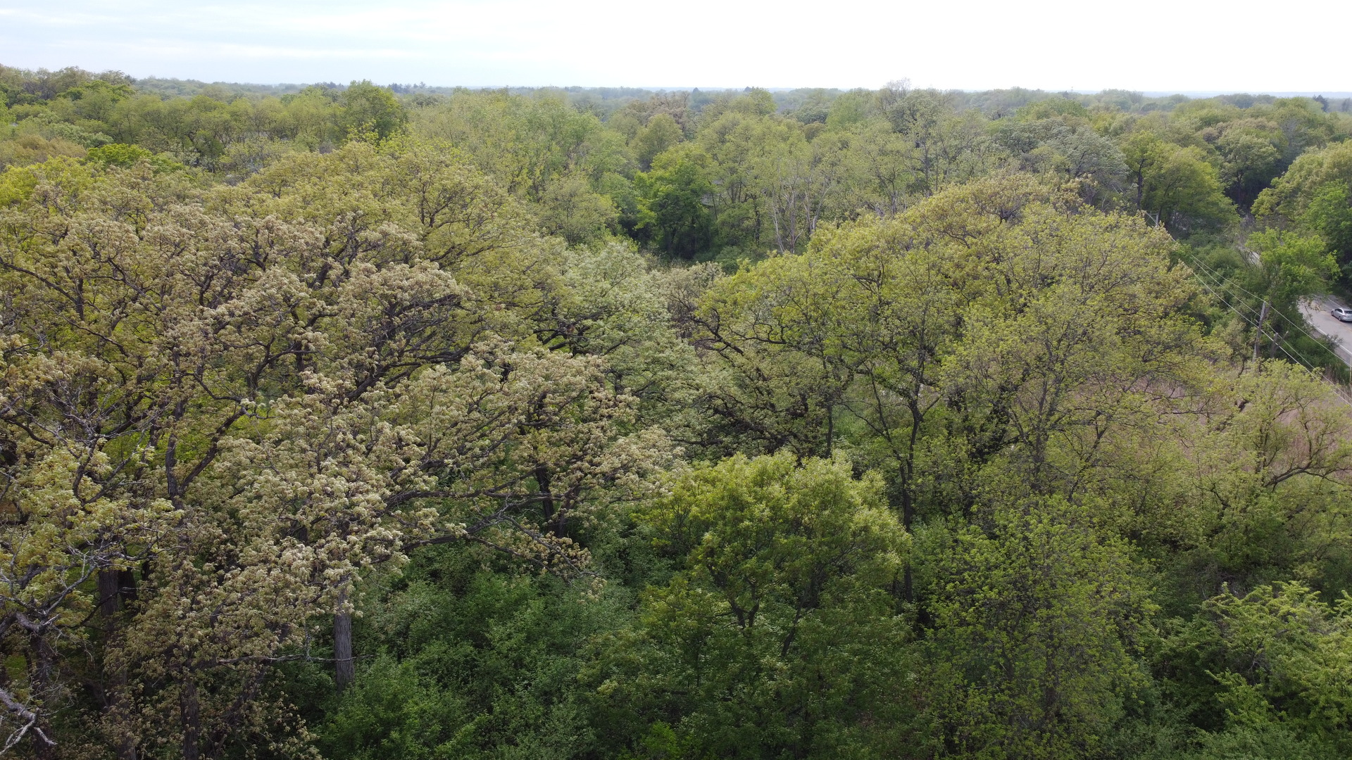 120 N Rainbow Road Property Photo 19