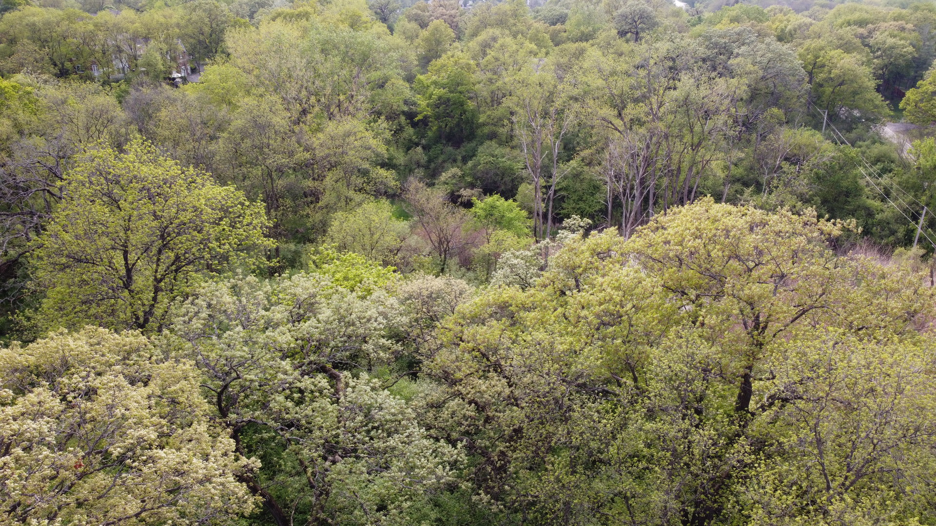 120 N Rainbow Road Property Photo 20