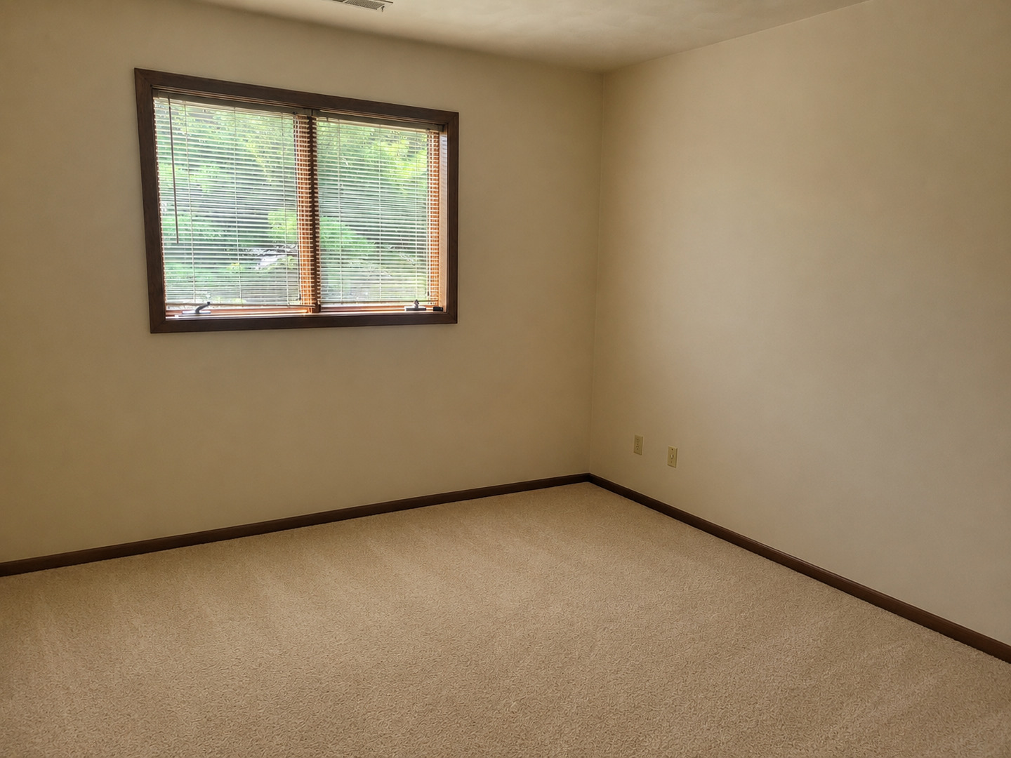 3139 4th Street Property Photo 6