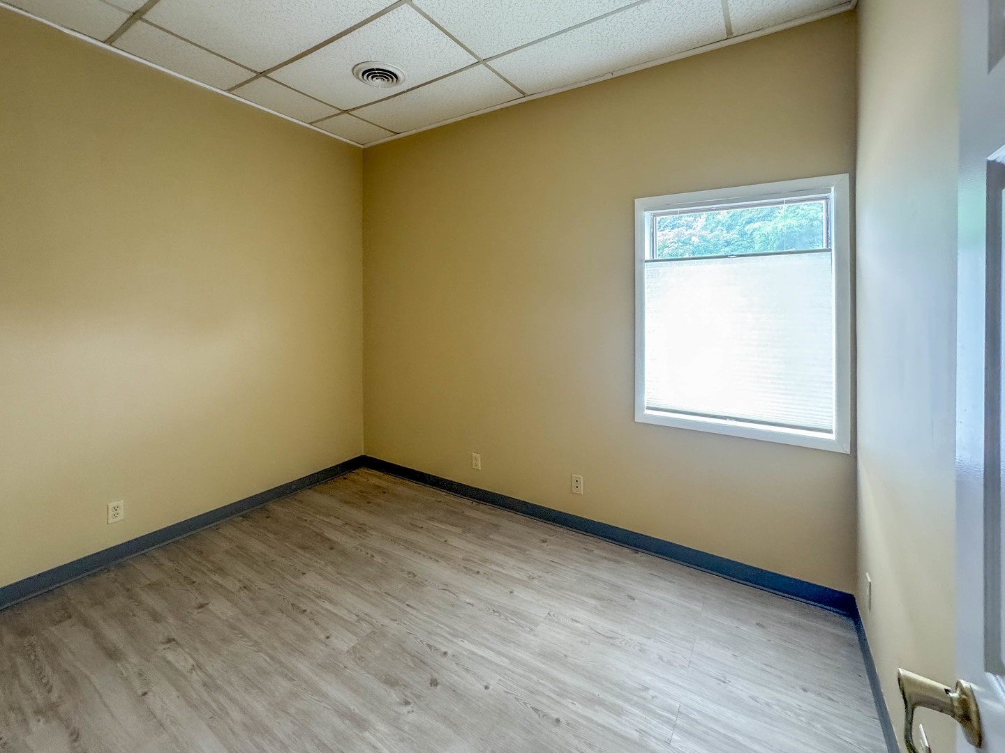 507 Springfield Avenue Property Photo 15