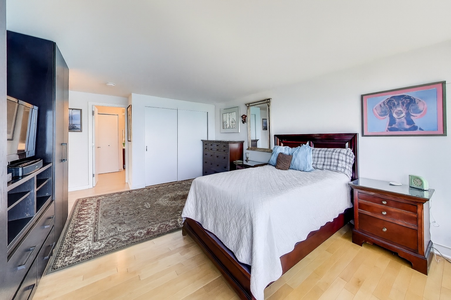 505 N Lake Shore Drive 6206 Property Photo 18