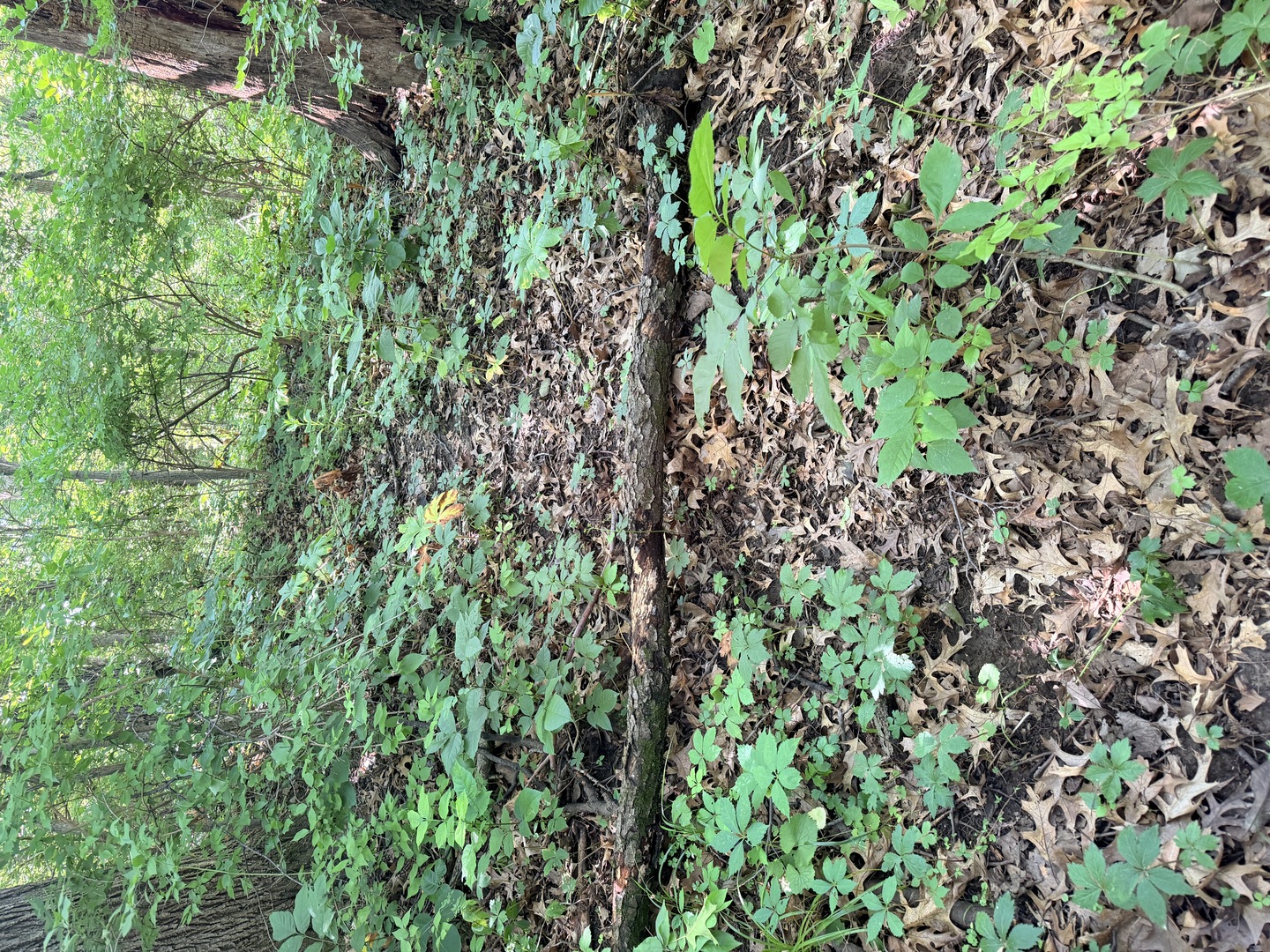 0000 E 25th Road Road Property Photo 11