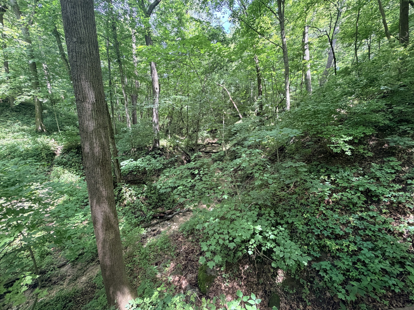 0000 E 25th Road Road Property Photo 15