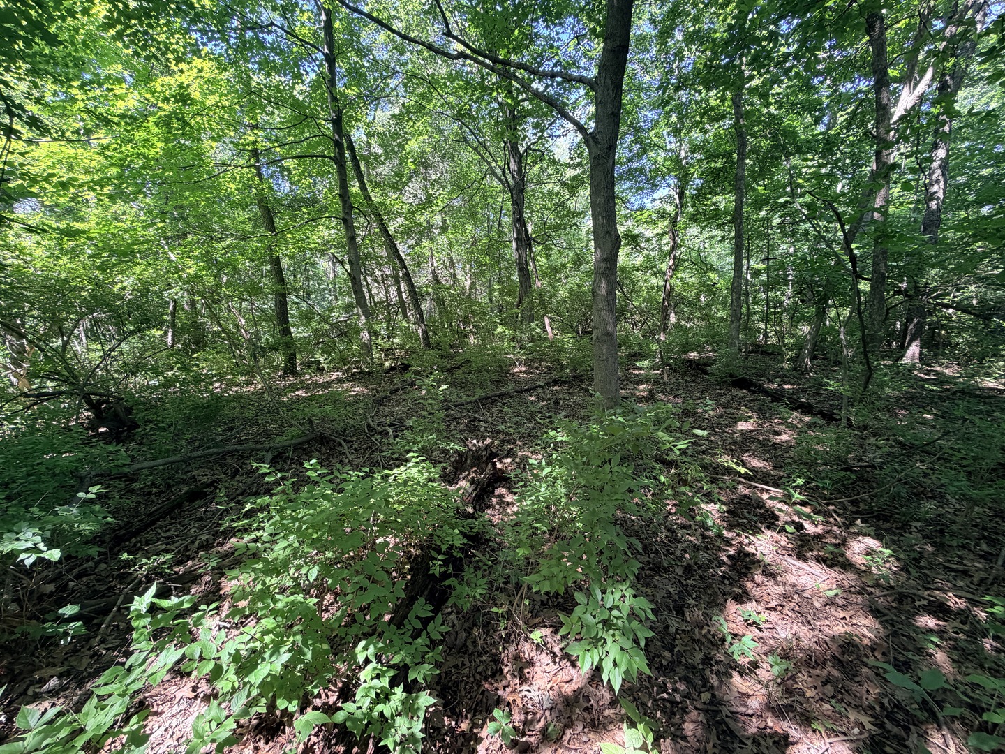 0000 E 25th Road Road Property Photo 20