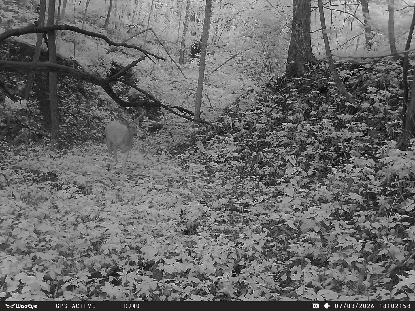 0000 E 25th Road Road Property Photo 32
