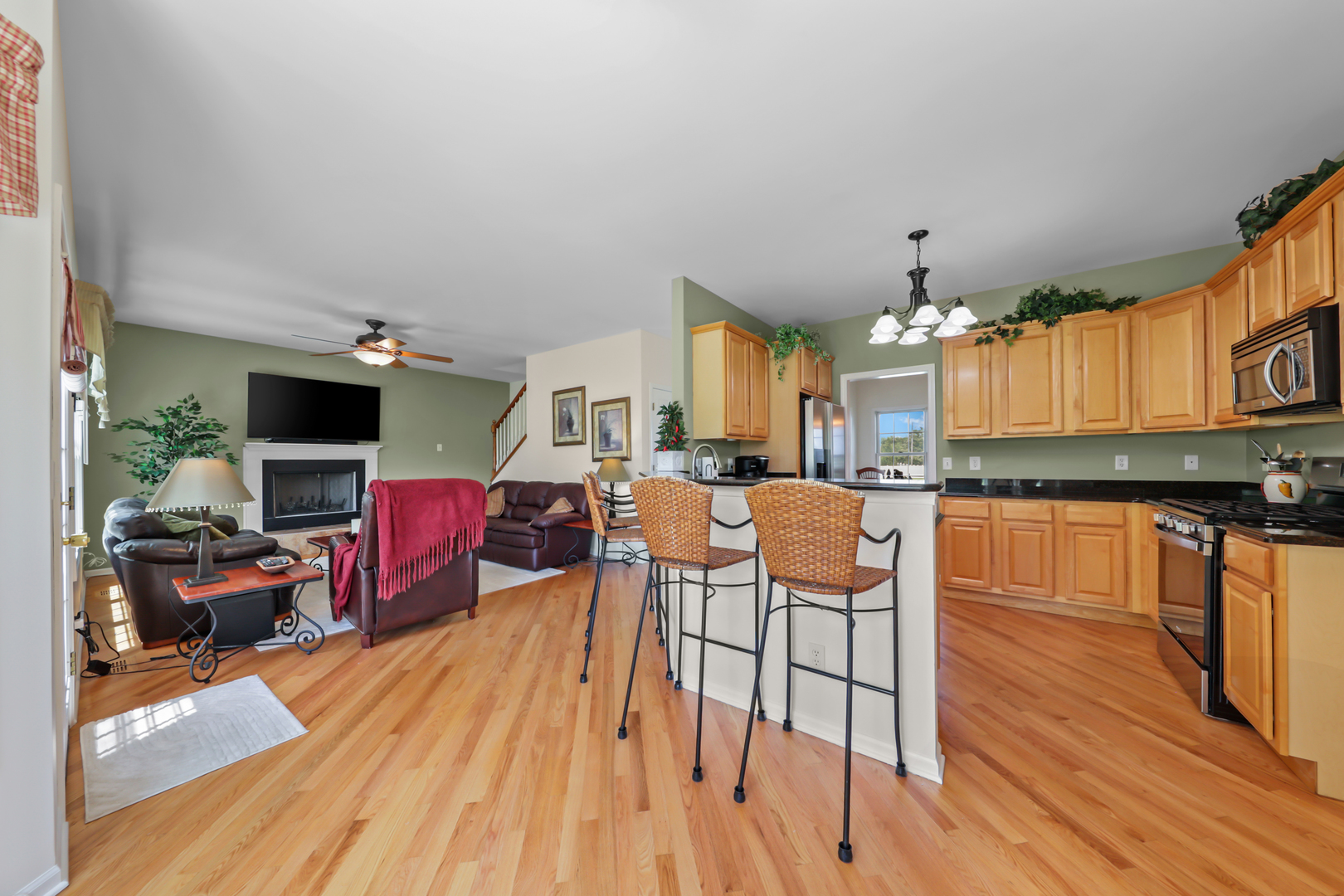 1223 Fox Run Drive Property Photo 12