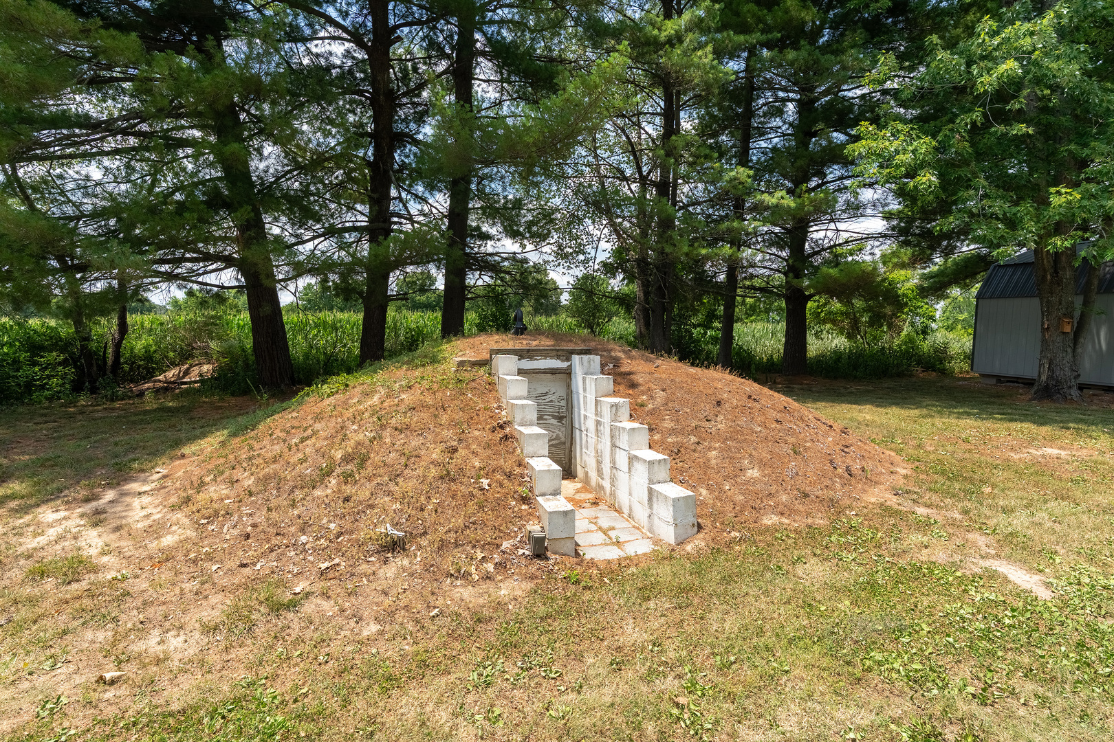 8184 Knox Road Property Photo 28