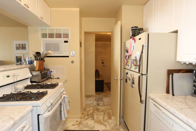 3950 N Lake Shore Drive 1012c Property Photo 5