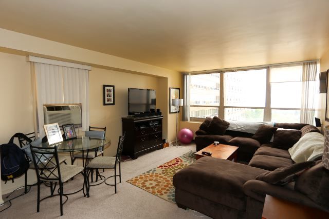 3950 N Lake Shore Drive 1012c Property Photo 6