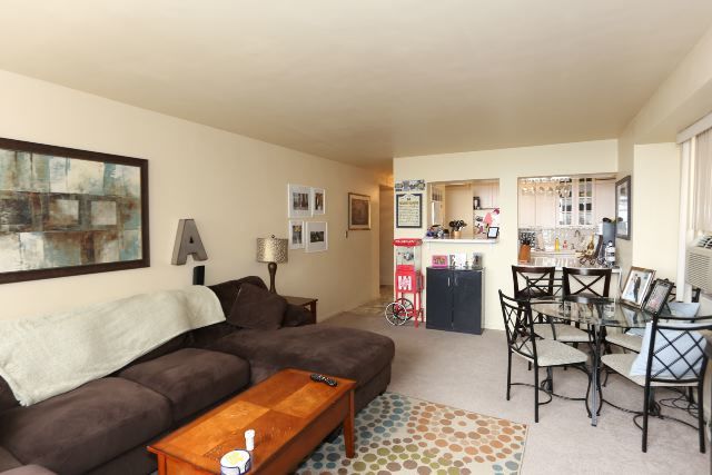 3950 N Lake Shore Drive 1012c Property Photo 7