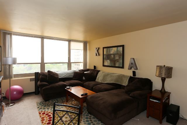 3950 N Lake Shore Drive 1012c Property Photo 8