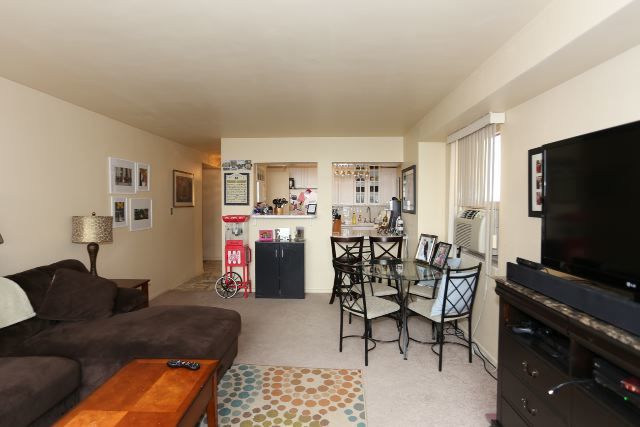 3950 N Lake Shore Drive 1012c Property Photo 9