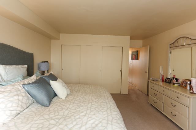 3950 N Lake Shore Drive 1012c Property Photo 11