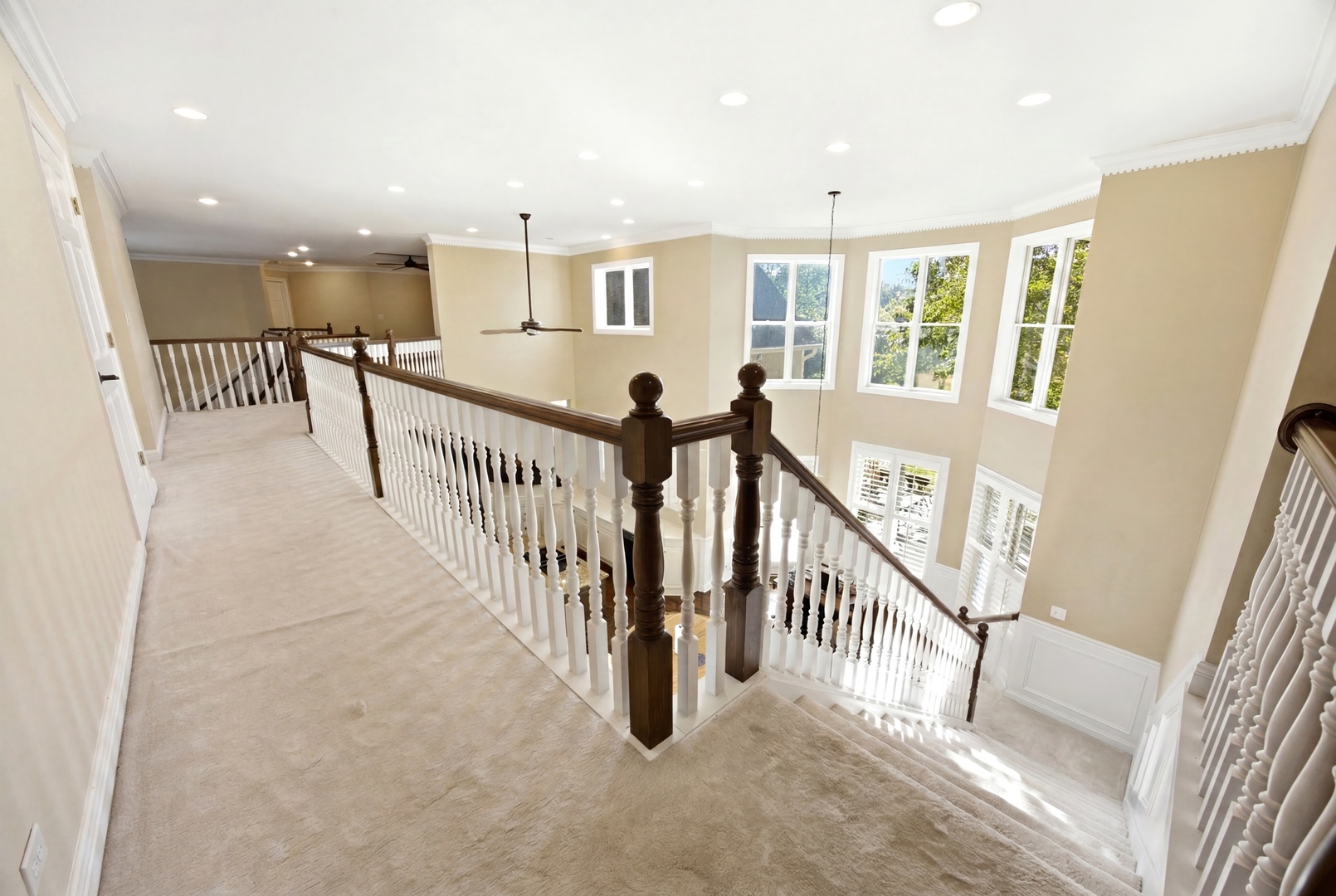4113 Carlisle Drive Property Photo 39