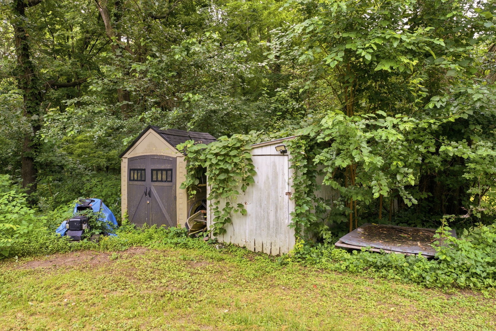 20 Willits Lane Property Photo 12