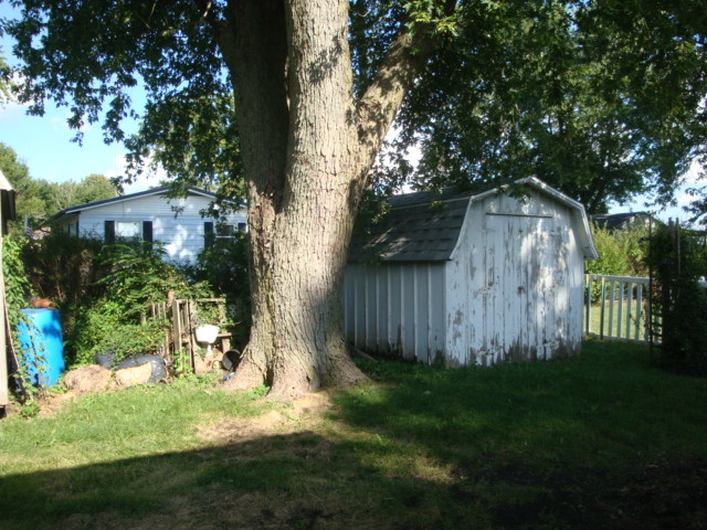 498 Park Street Property Photo 17
