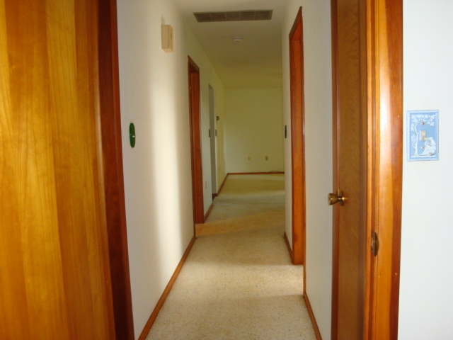 498 Park Street Property Photo 39