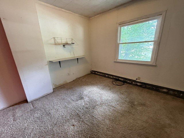 1110 E Oak Street Property Photo 12