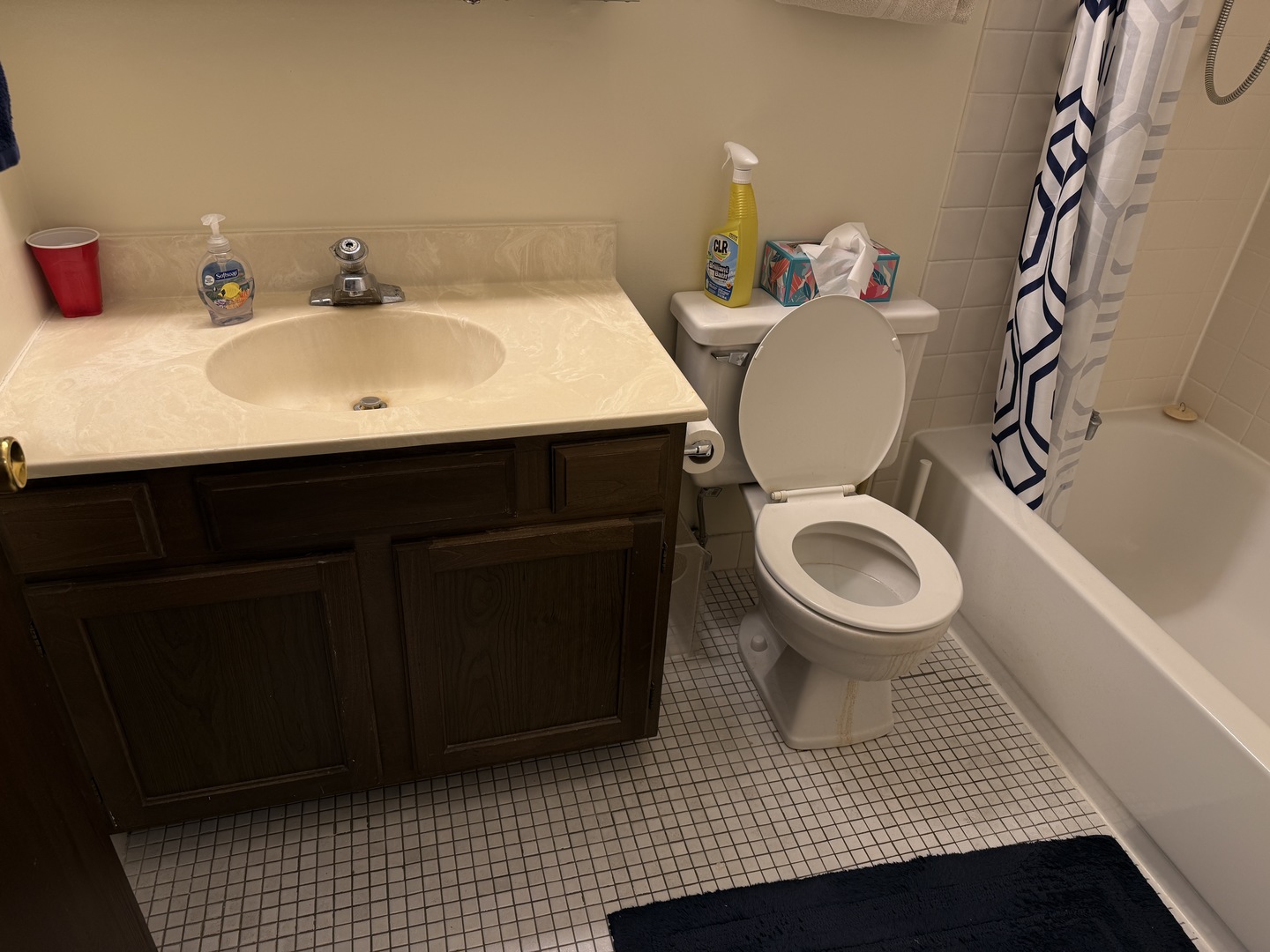 1018 Castilian Court 203 Property Photo 20