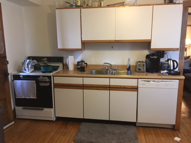 1042 W George Street 1r Property Photo 6