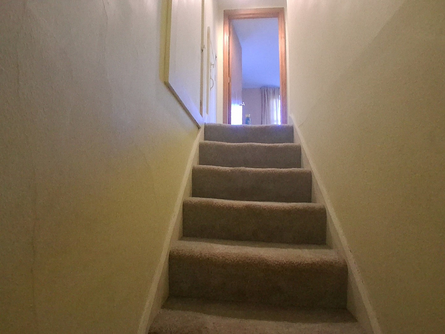 21980 N 800 Avenue Property Photo 51