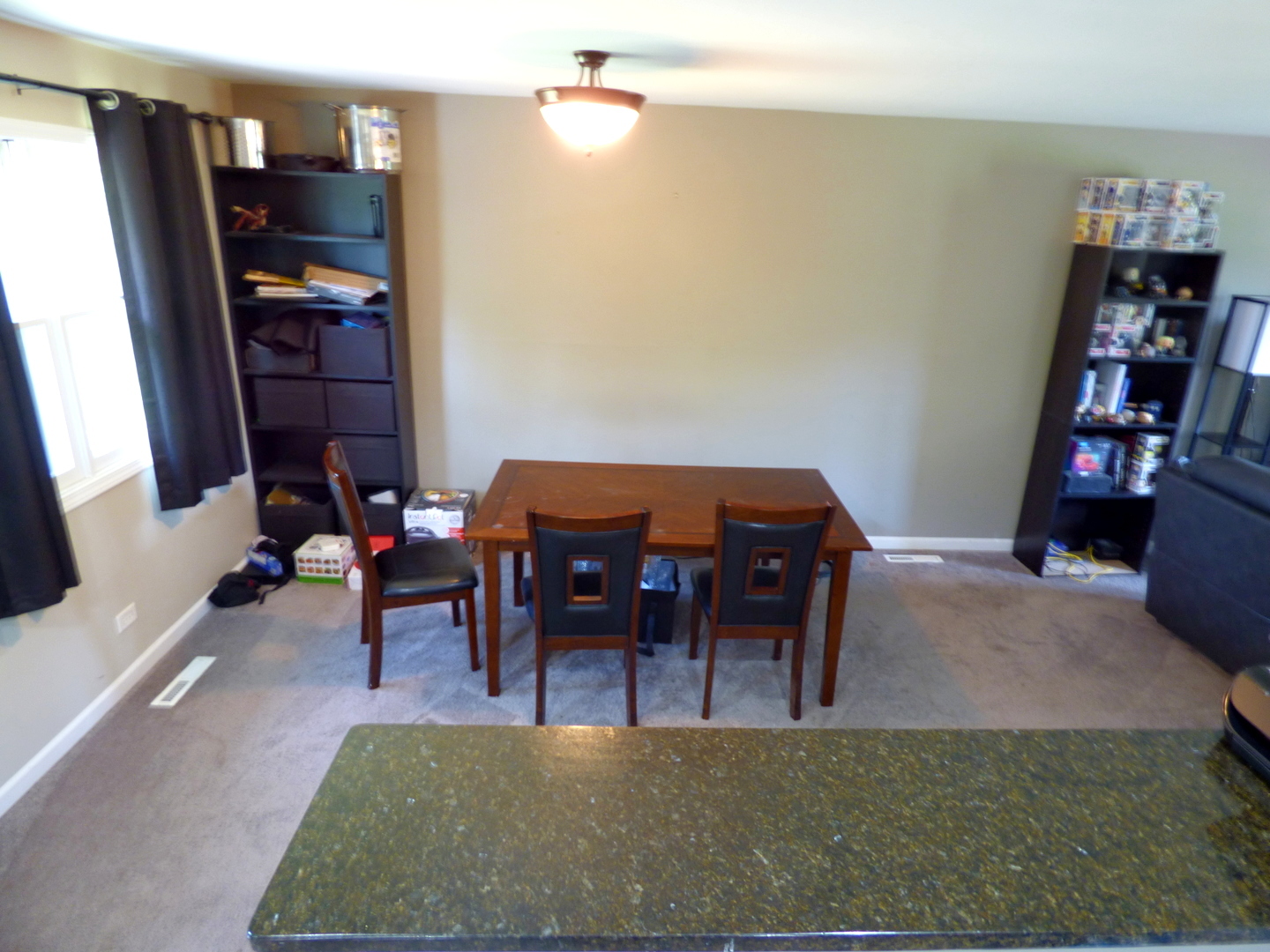528 W Pheasant Court Property Photo 8