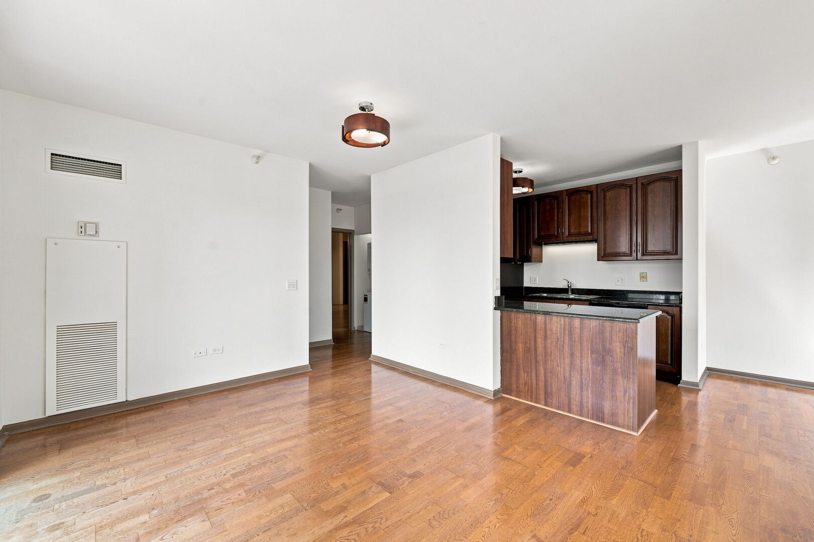 635 N Dearborn Street 902 Property Photo 4