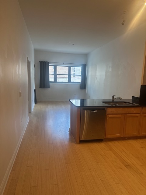 8 W Monroe Street 808 Property Photo 10
