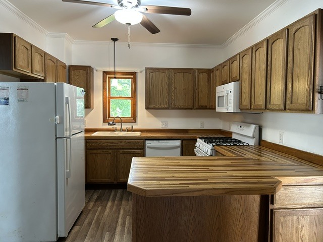 302 N Carroll Street Property Photo 17