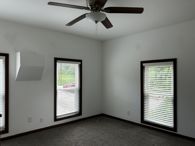 302 N Carroll Street Property Photo 25