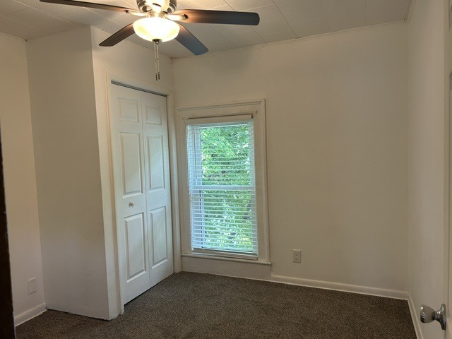 302 N Carroll Street Property Photo 28