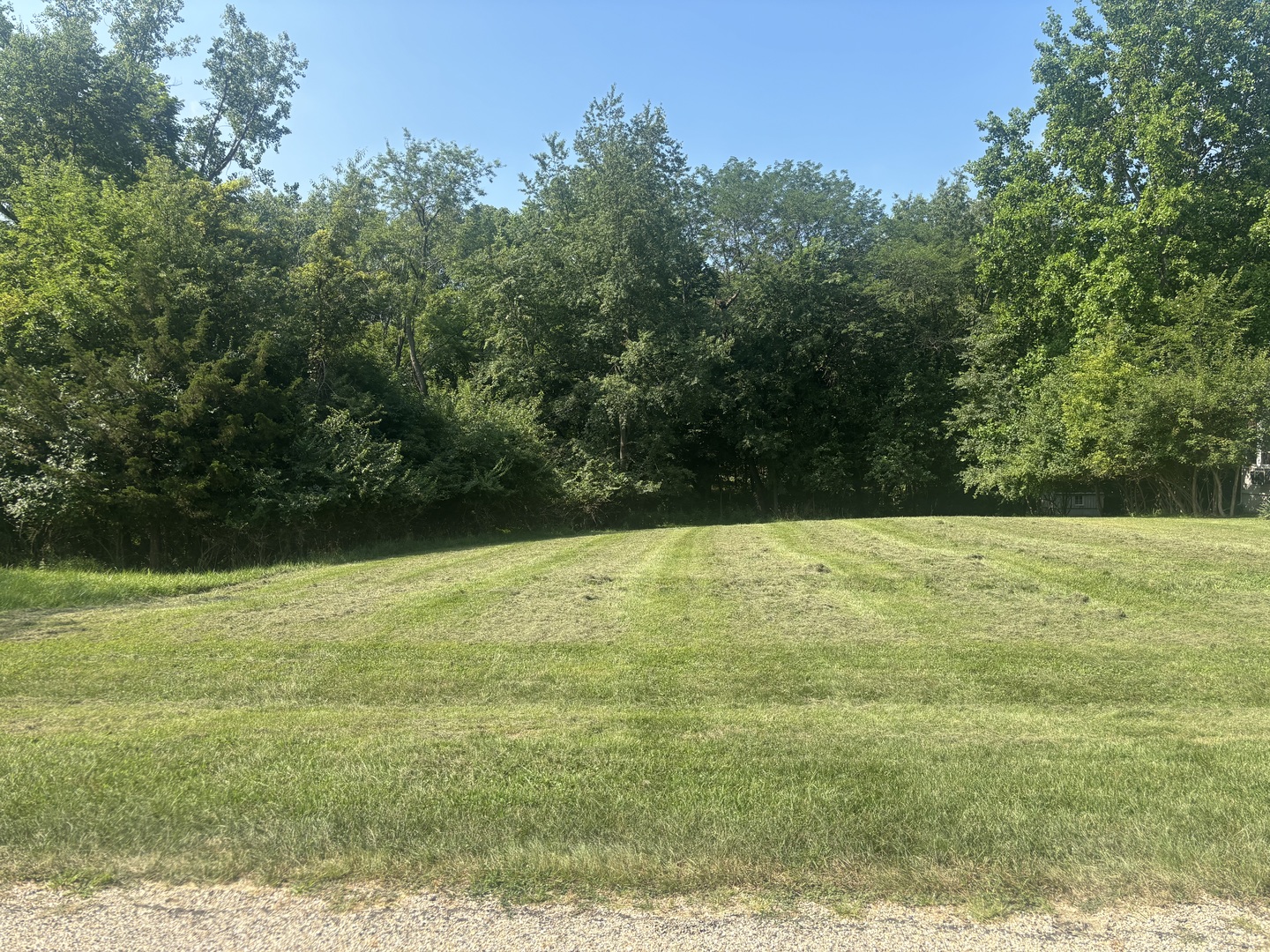 1206 Tallwood Court Property Photo 1