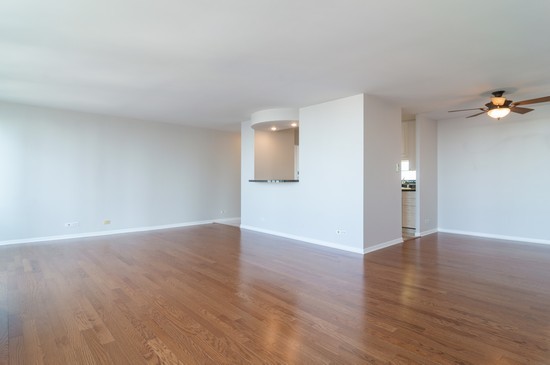 111 E Chestnut Street 52j Property Photo 4
