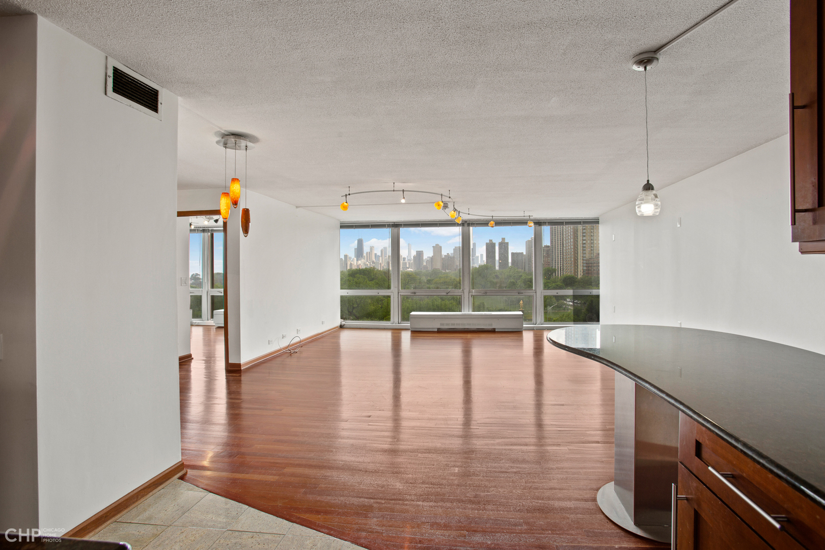 330 W Diversey Parkway 807-809 Property Photo 3