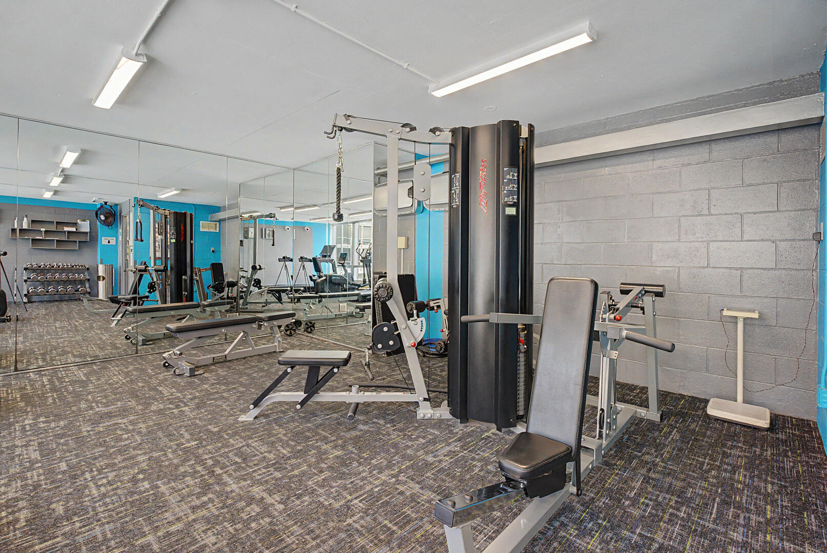 330 W Diversey Parkway 807-809 Property Photo 24