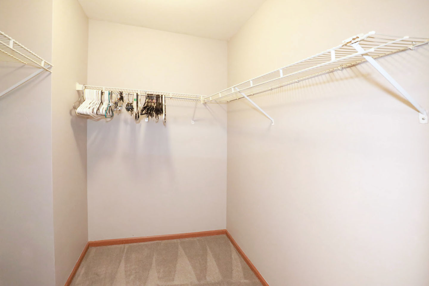 704 Shady Oaks Court Property Photo 18