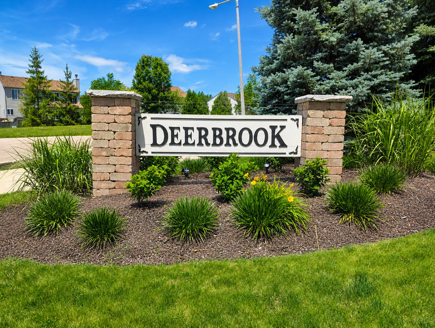 2213 Roaring Creek Drive Property Photo 49