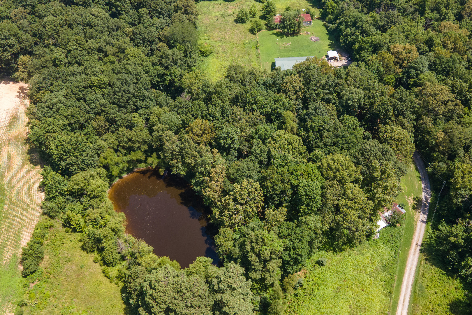 18680 Galatia Post Road Property Photo 39