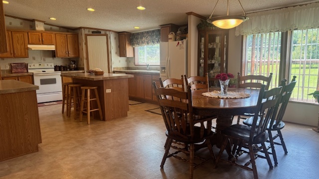 15165 N Concordia Lane Property Photo 12