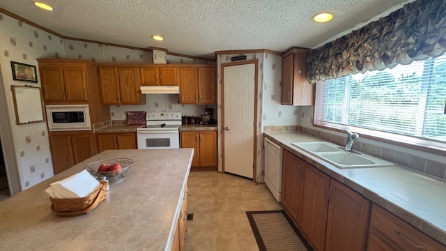 15165 N Concordia Lane Property Photo 15