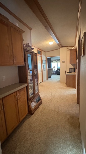 15165 N Concordia Lane Property Photo 23