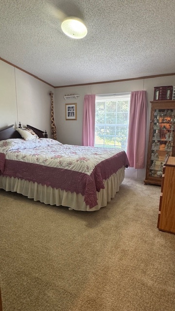15165 N Concordia Lane Property Photo 29